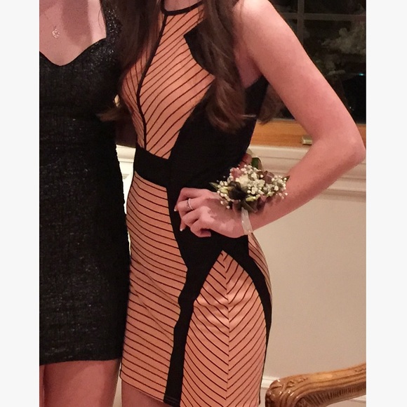 Coral Fitted Dress - Picture 4 of 4